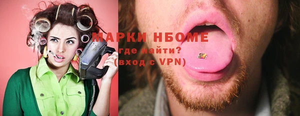 шишки Дмитровск