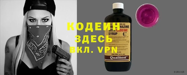 шишки Дмитровск