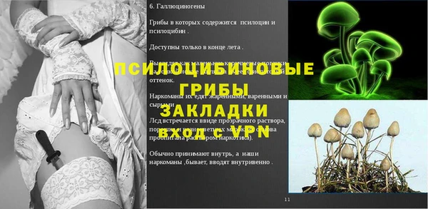 шишки Дмитровск