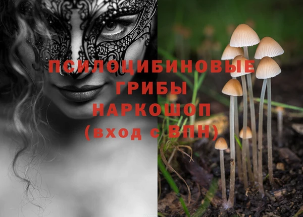 метадон Гусь-Хрустальный