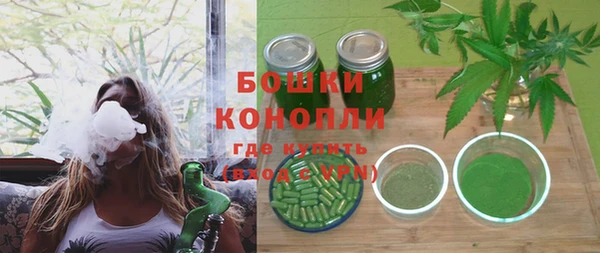спайс Гусиноозёрск